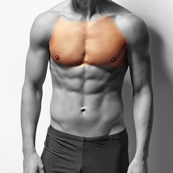 Men Full Chest