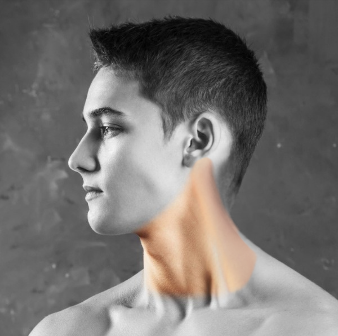 Men Full Neck