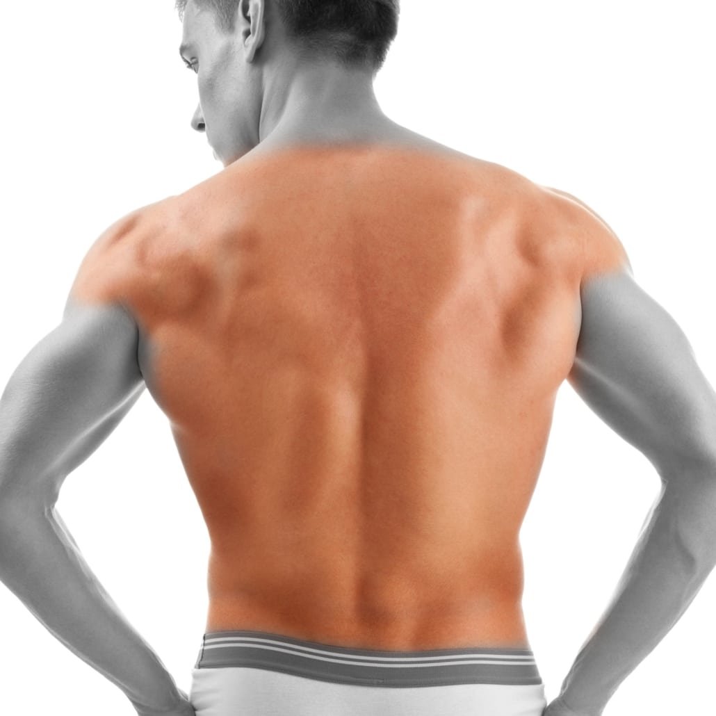 Men Full Back & Shoulders