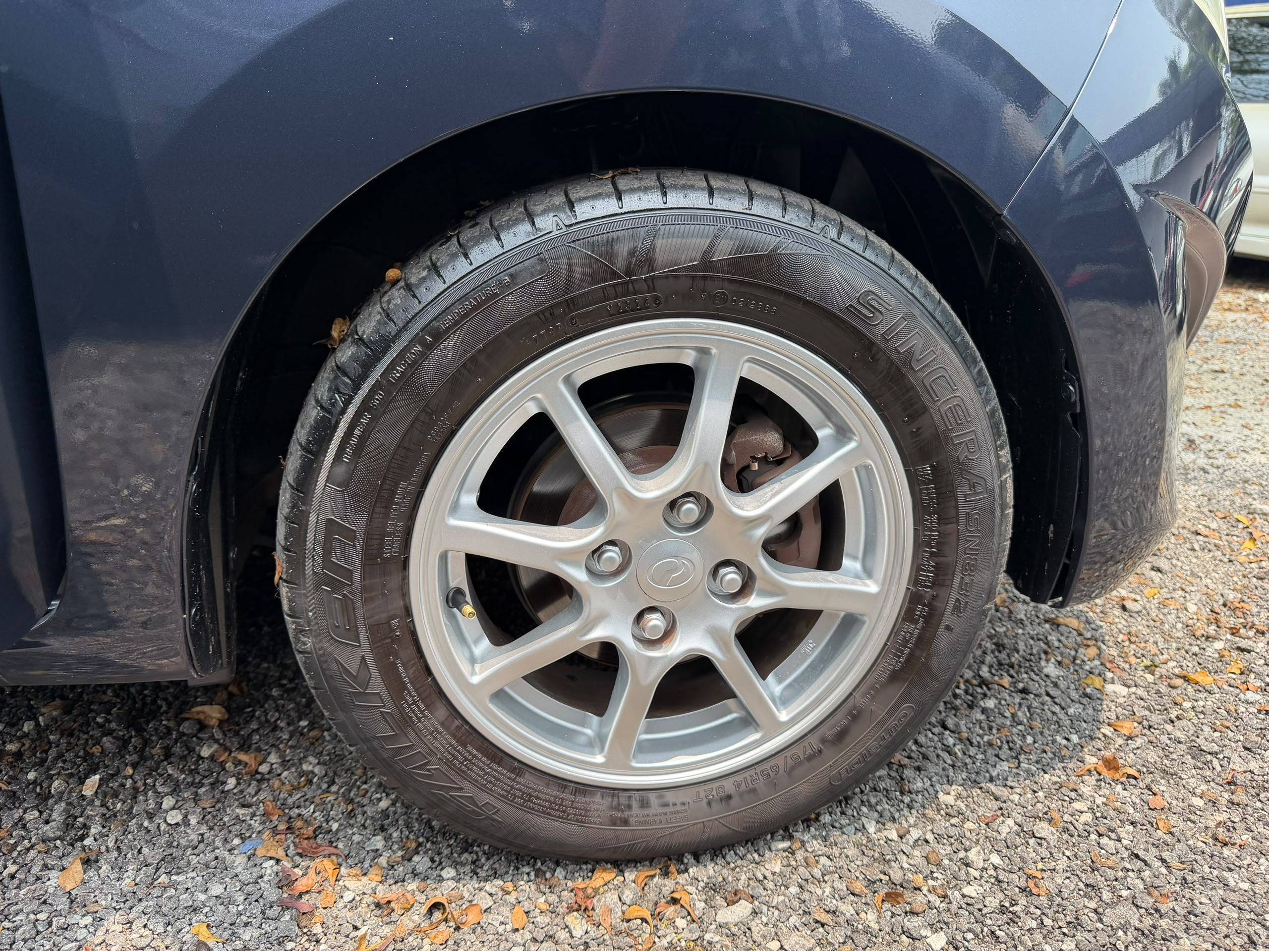 AXIA Axia — photo 16