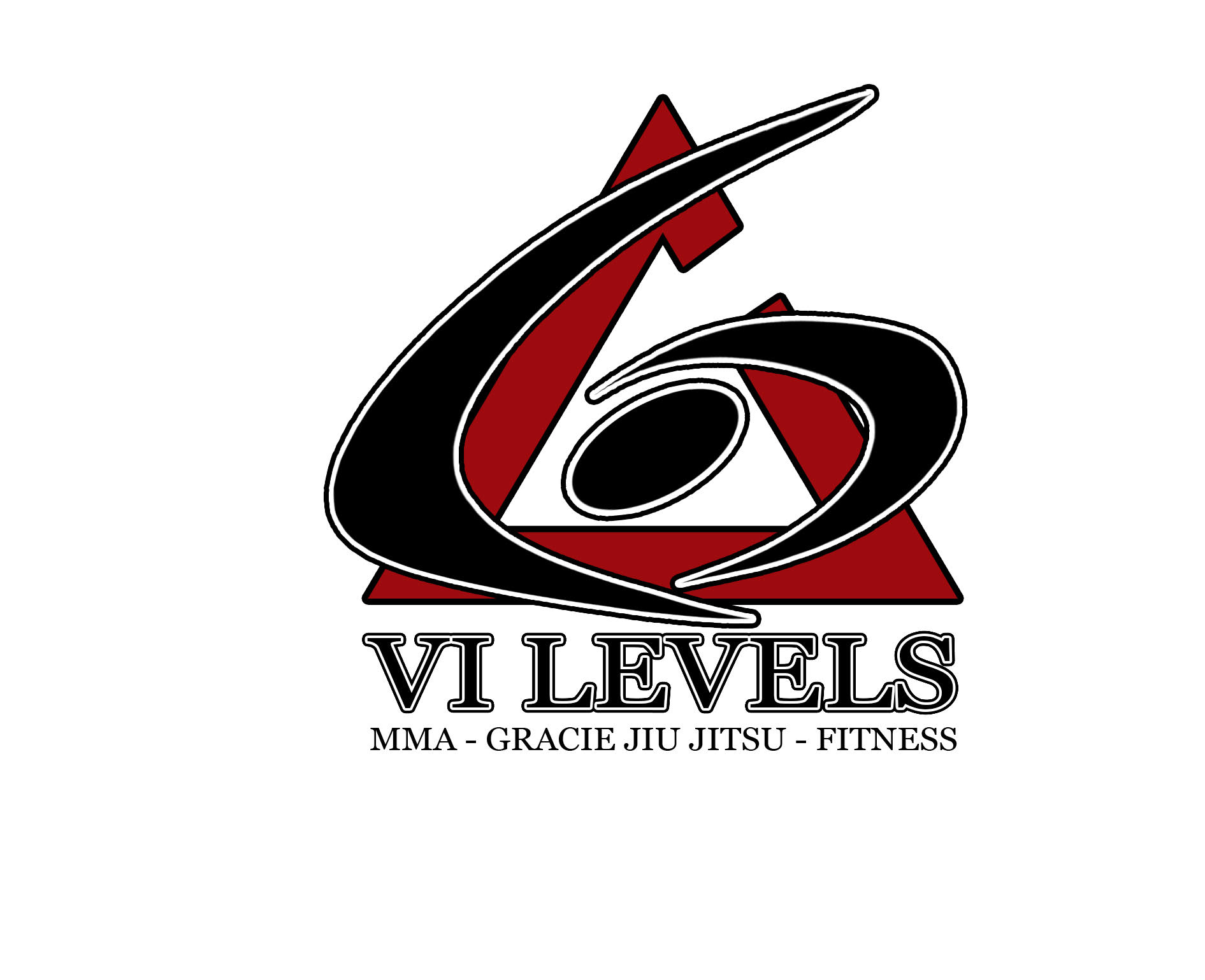 6 Levels MMA and Fitness Center