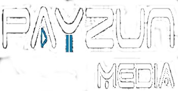 payzunmedia.com