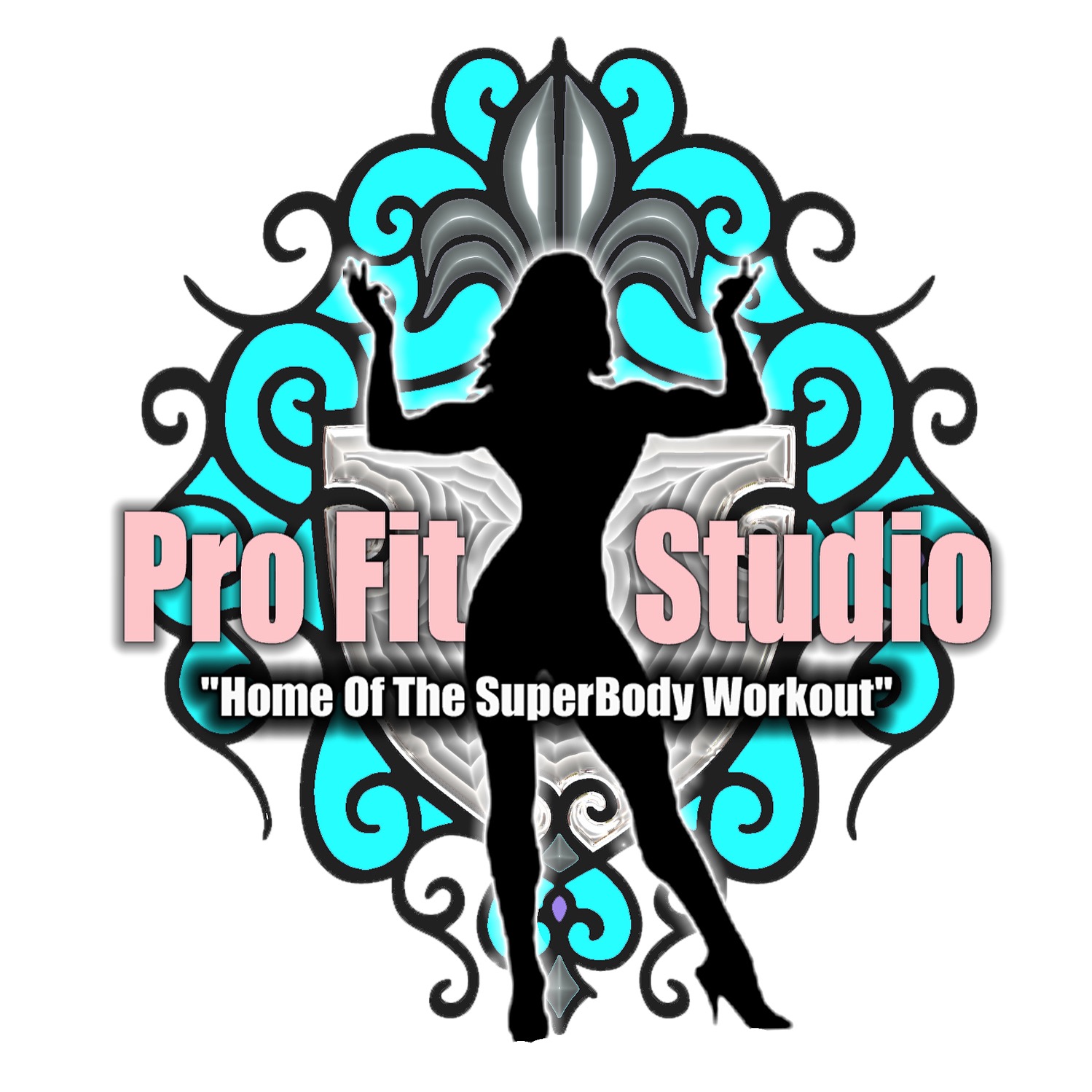 ProFit Studio Chicago