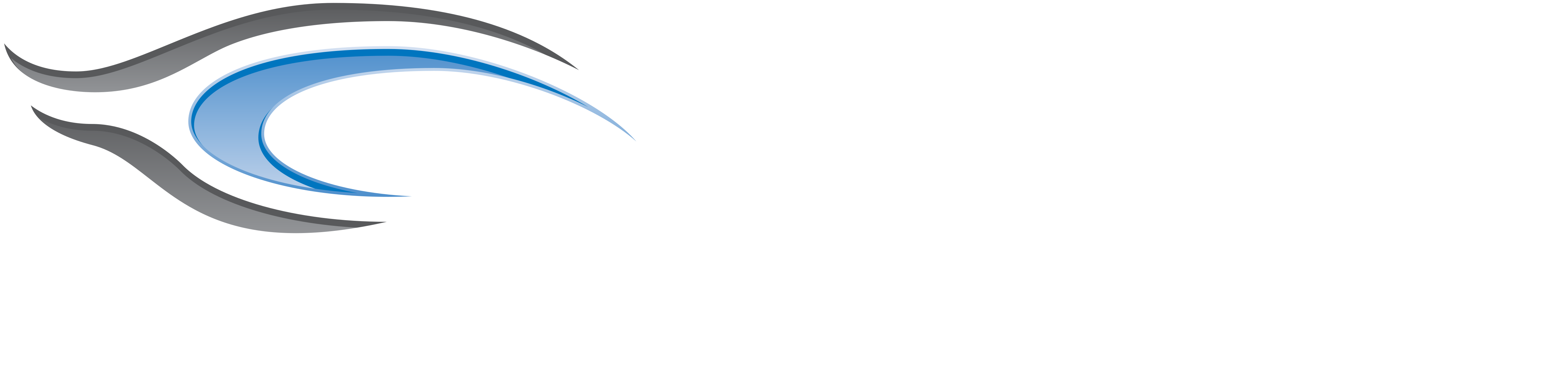 Platinum Plus Detailing 