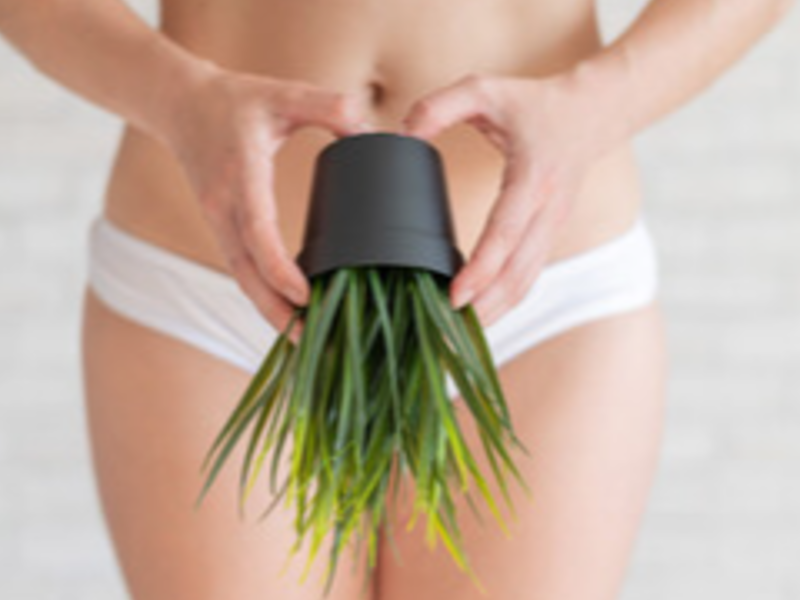 Bikini Full-image