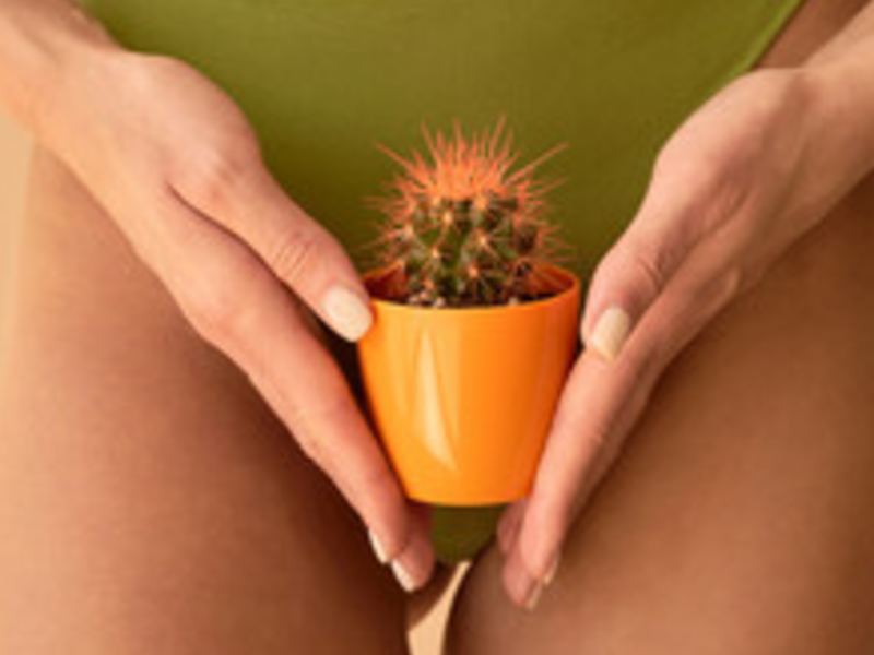 Brazilian Wax-image